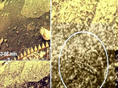 На Венере нашли скорпиона: космическая тайна открылась спустя 30 лет
